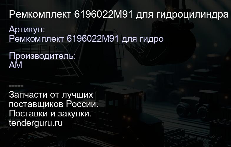 Ремкомплект 6196022M91 для гидроцилиндра T105344 6196022M91 | купить запчасти